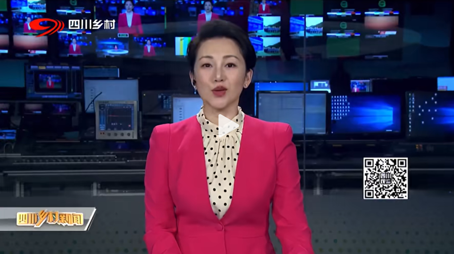 四川卫视报道中国茶人杨俊成携川茶”兰妃 印象私房茶”三度走进联合国