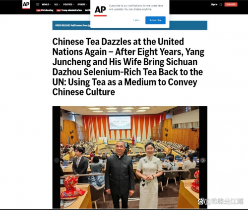三度亮相联合国事件营销及宣传总结